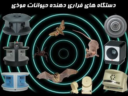دفع دائمی موش و حشرات موذی
