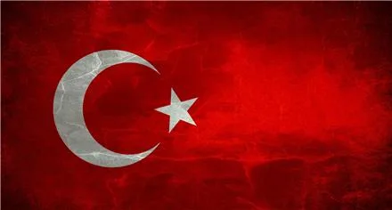 مترجم و مدرس ترکی استانبولی در اصفهان