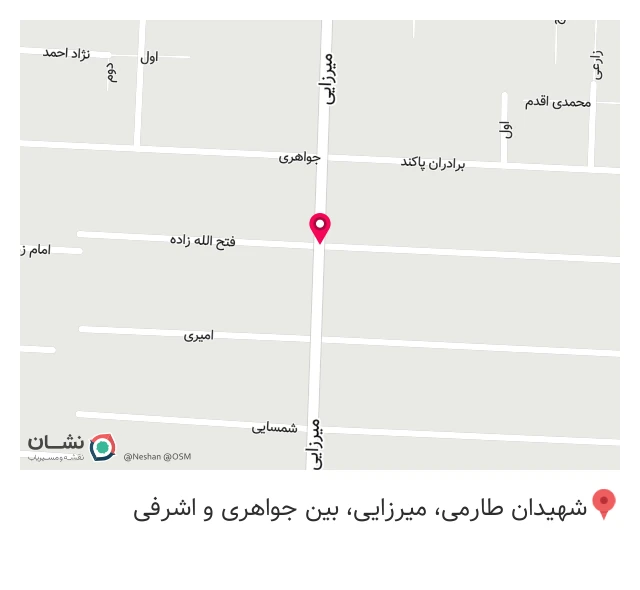 تک شاخ
