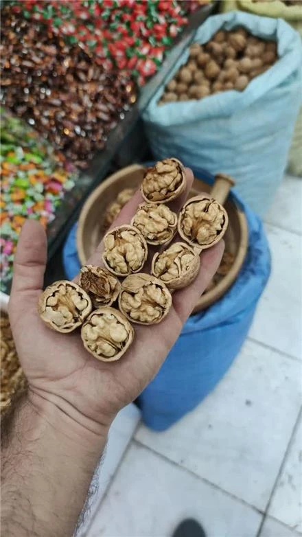 فروش گردو کاغذی خراسان شمالی