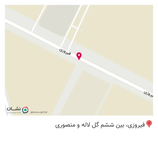 گلدوزی حسینی