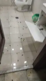 سم پاشی باغبانی سمپاشی هرس آقا نودهی