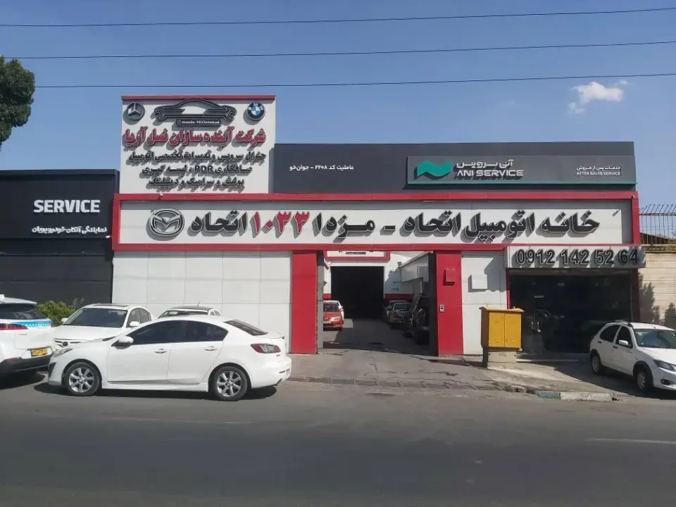 آنی سرویس 2208 جوان خو