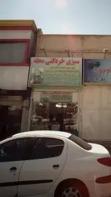 سبزی خرد کنی محله