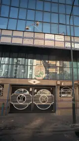 دکتر سعیده آرین نیا
