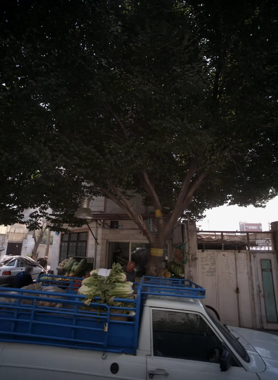 میوه فروشی