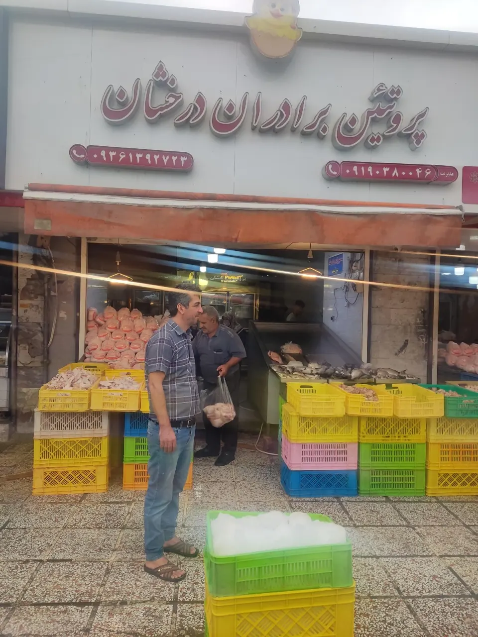 پخش مرغ عمده و خرده درخشان
