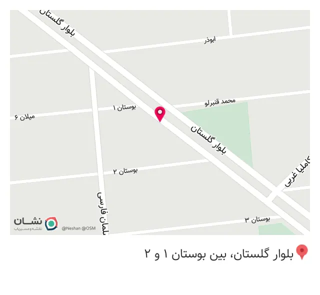 کفش پارسیس