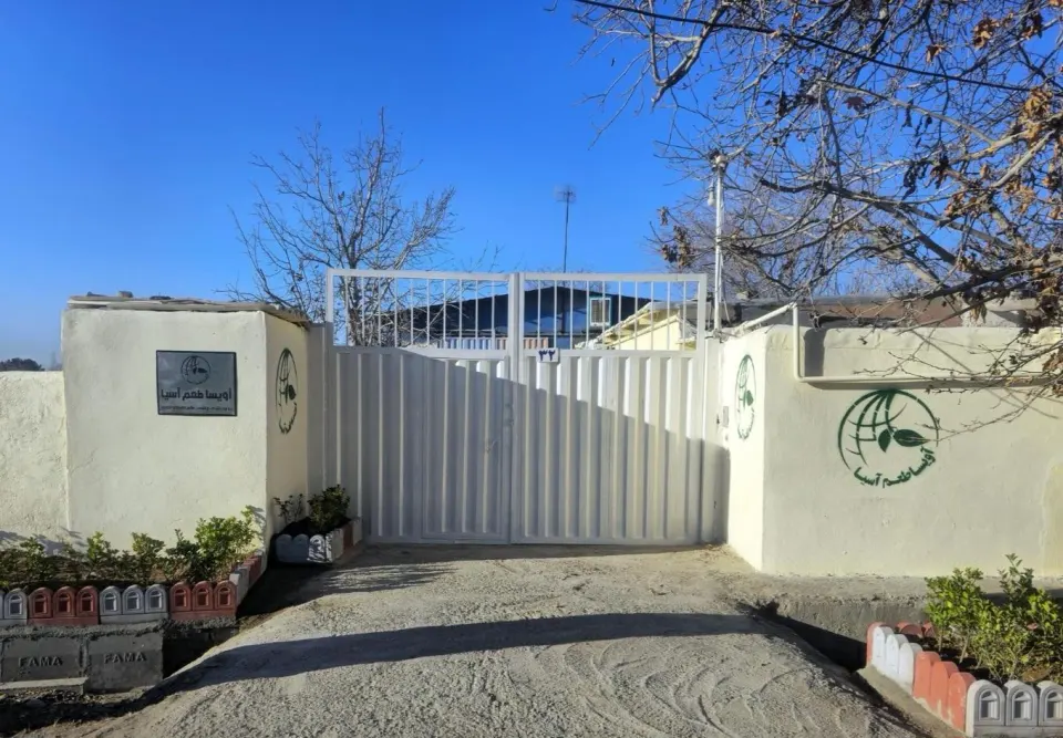 شرکت آویسا طعم آسیا