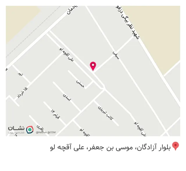 آدی‌شاپ ارلی