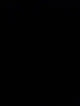 وکیل فائزه فخری