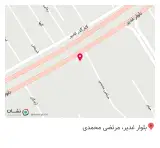 بیمه ایران کد 5019