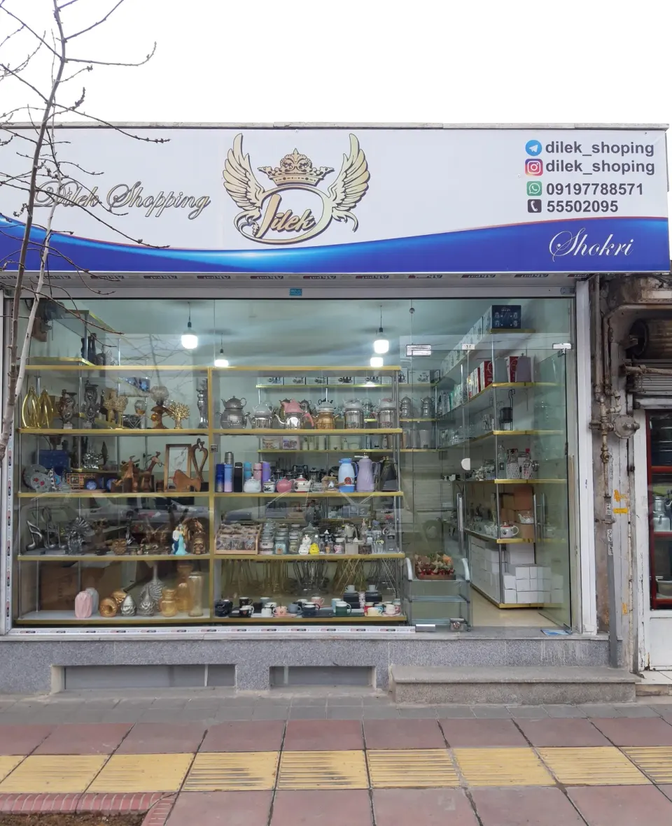 فروشگاه دیلک