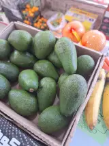 پخش‌ میوه ایرانی و خارجی نادبی زاده