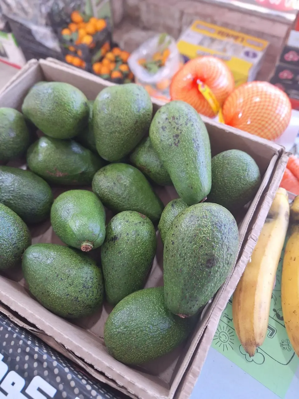 پخش‌ میوه ایرانی و خارجی نادبی زاده