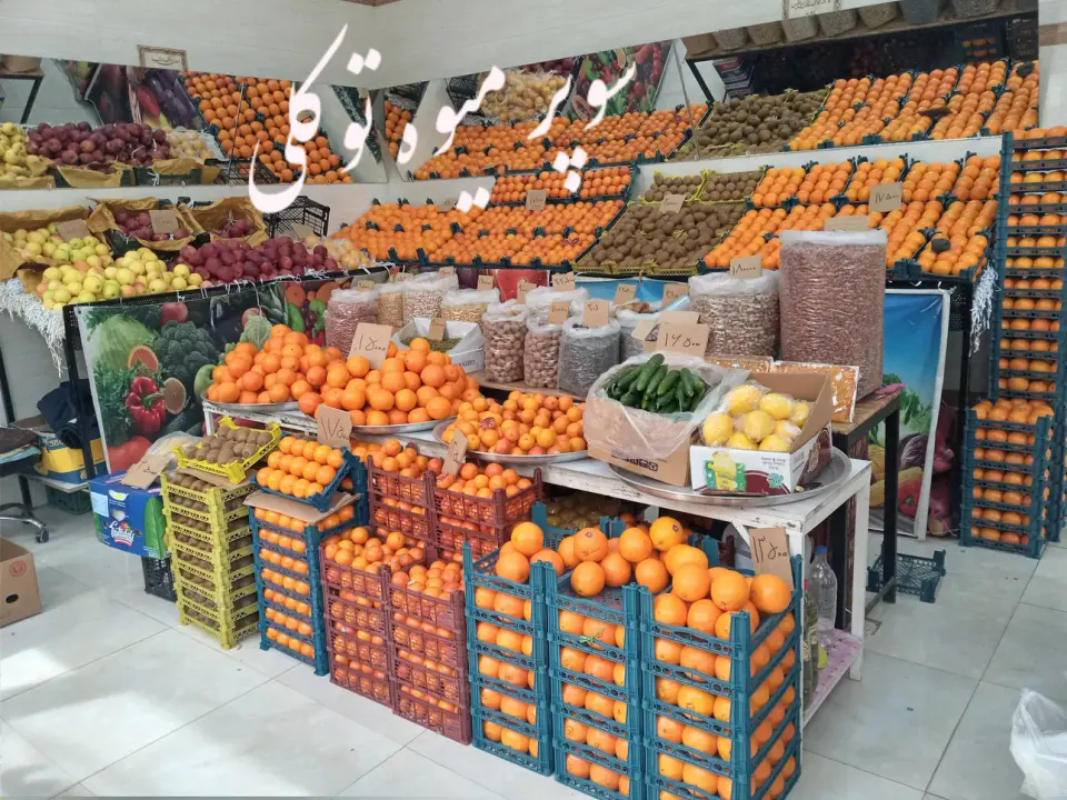 میوه فروشی توکلی