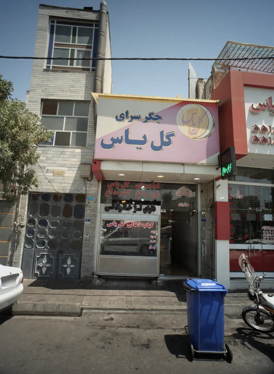 گل یاس