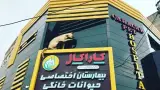 پت شاپ حیوانات خانگی ارک