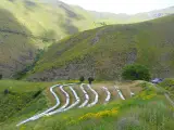 عسل طبیعی پایگلان