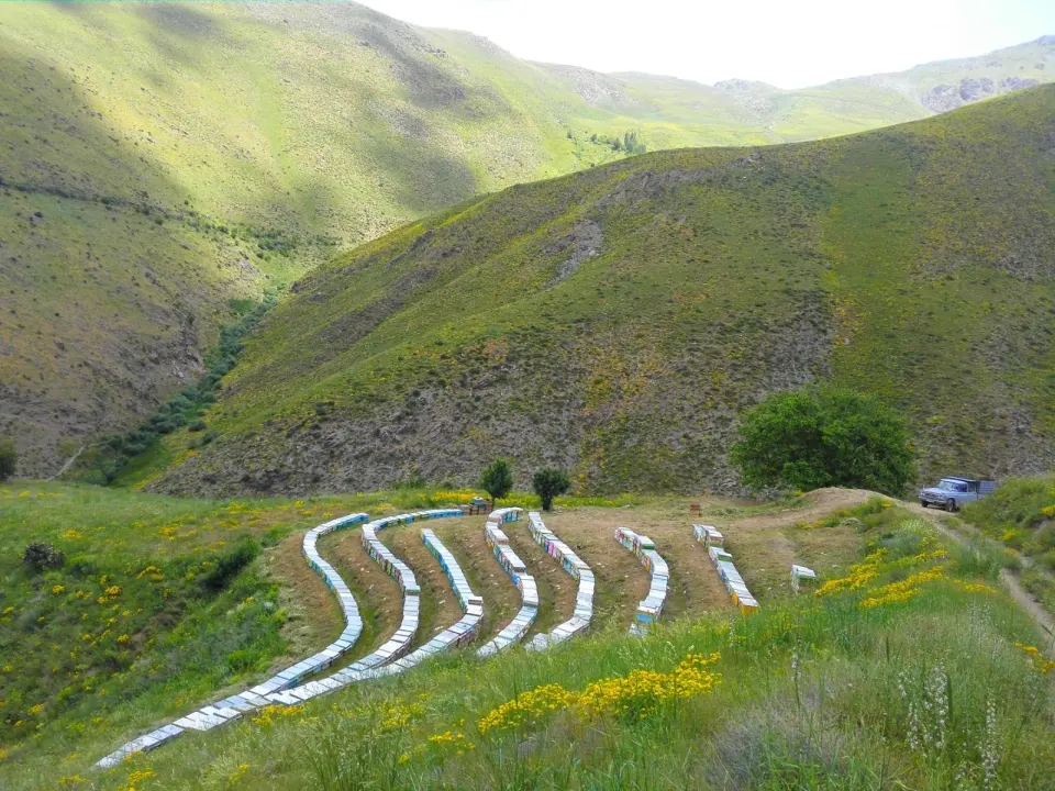 عسل طبیعی پایگلان