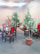 بوفه و کافه هنگام