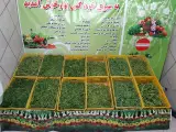 سبزی خوردکنی بهار