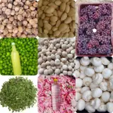 محصولات خانگی فلاح گردو بادام حلوا ارده