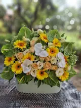 گلفروشی گلوریا