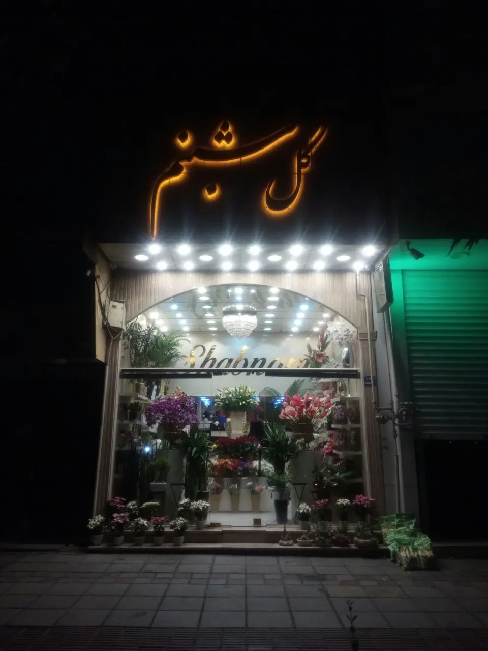 گل شبنم