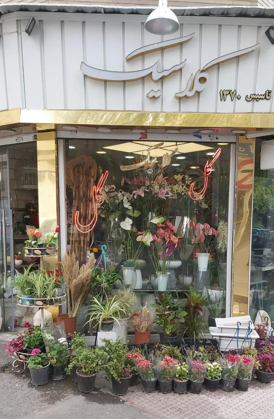 گل فروشی کلاسیک روز