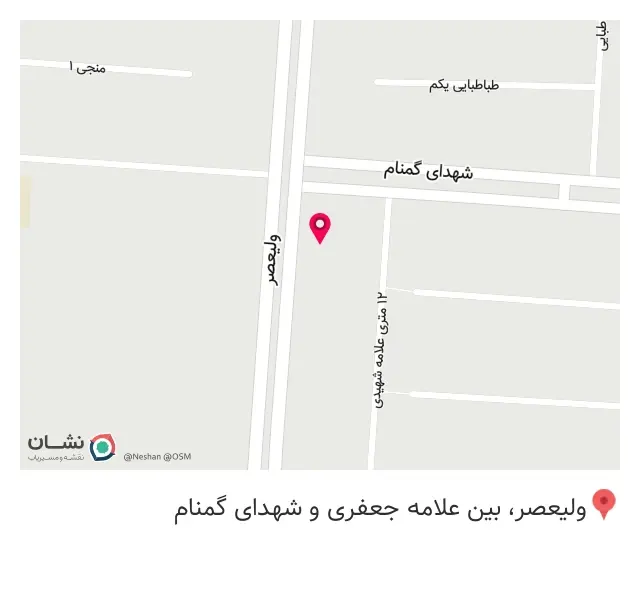فروشگاه دهقان نیری