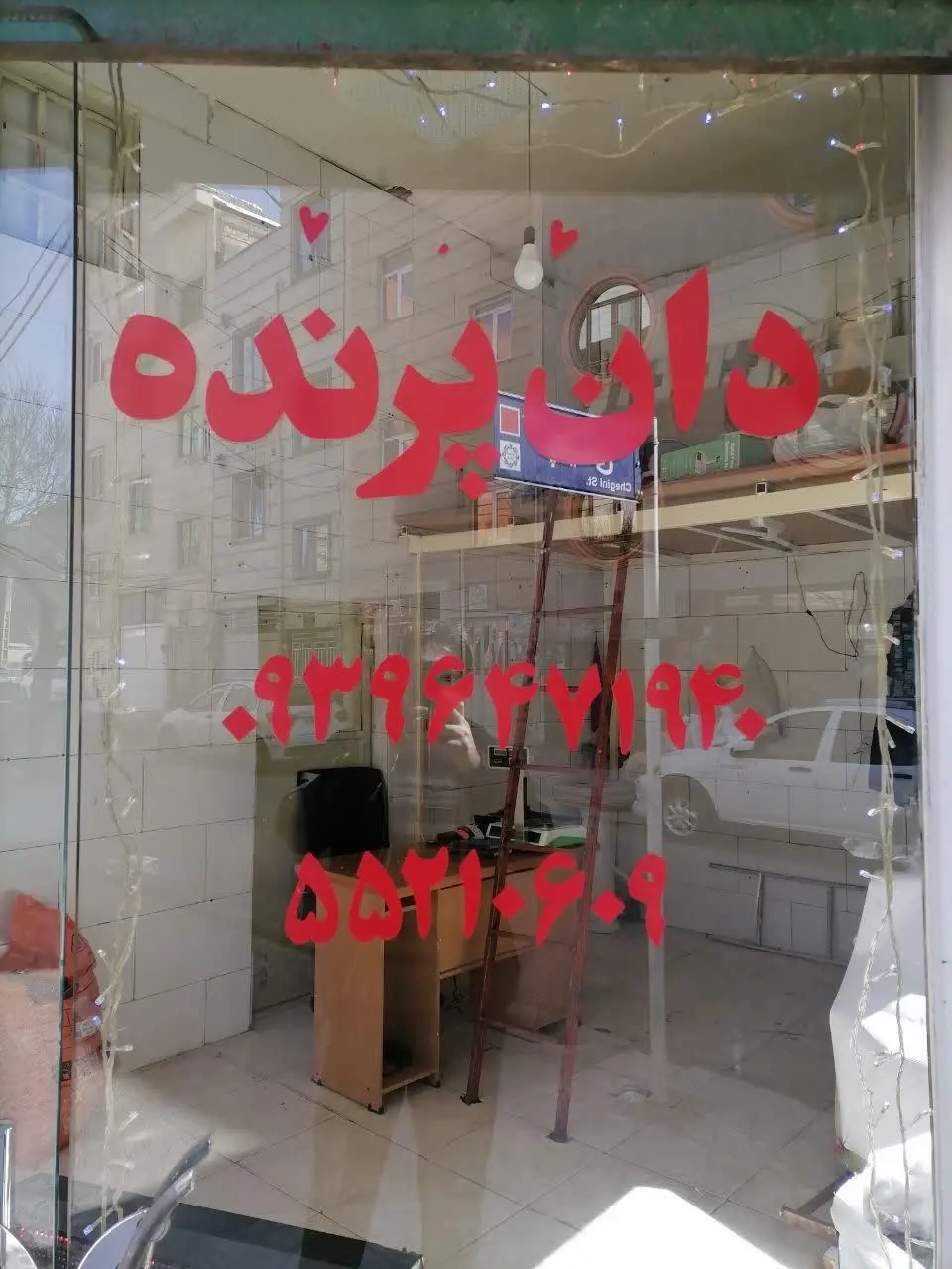 دان پرنده