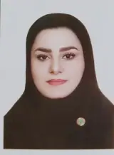 وکیل میسا تفنگ ساز
