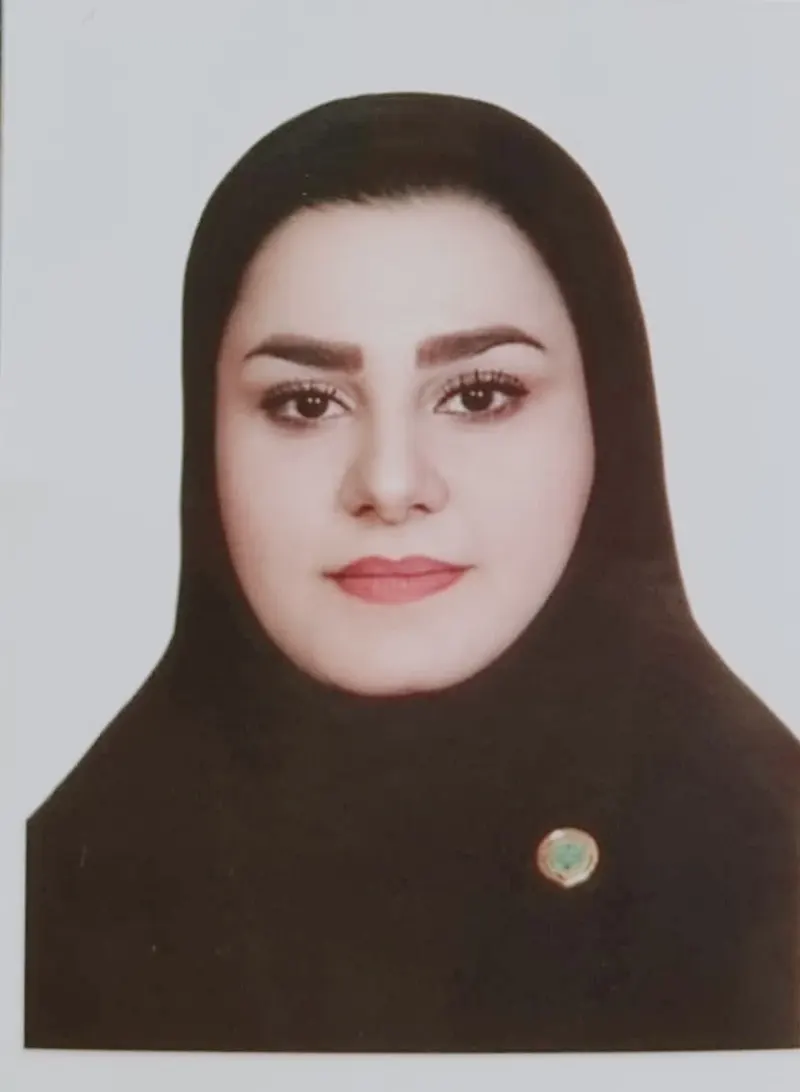 وکیل میسا تفنگ ساز