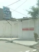 فلافل