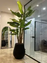مرکز تخصصی فیشال پتوس