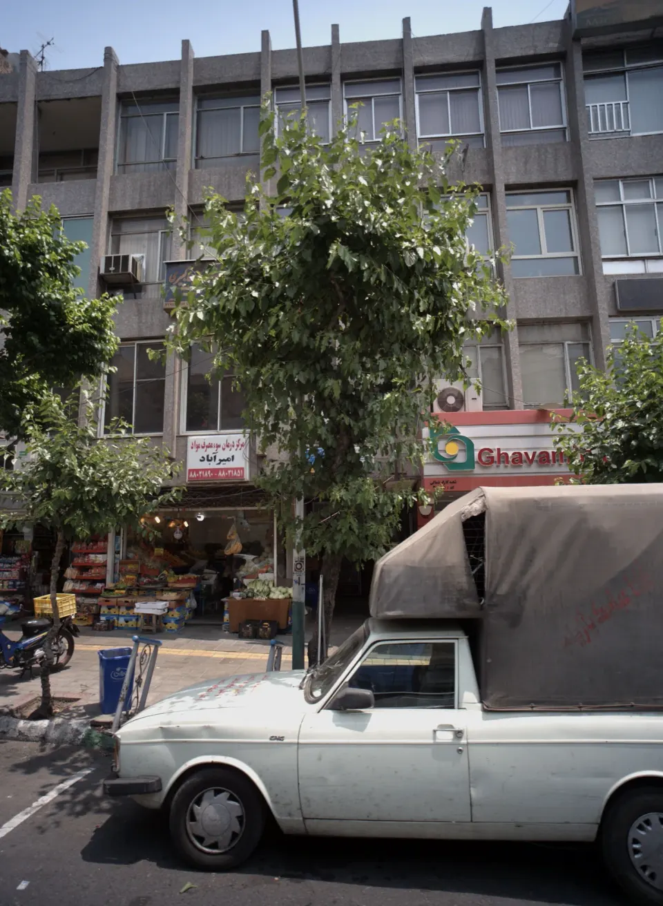 میوه فروشی برادران جابری
