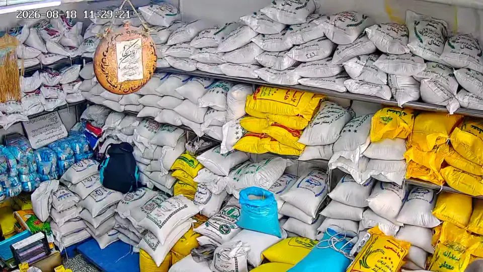 پخش برنج زرافشان
