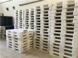 سبد پلاستیک