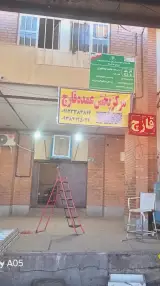 پخش قارچ عمده زیست آرا