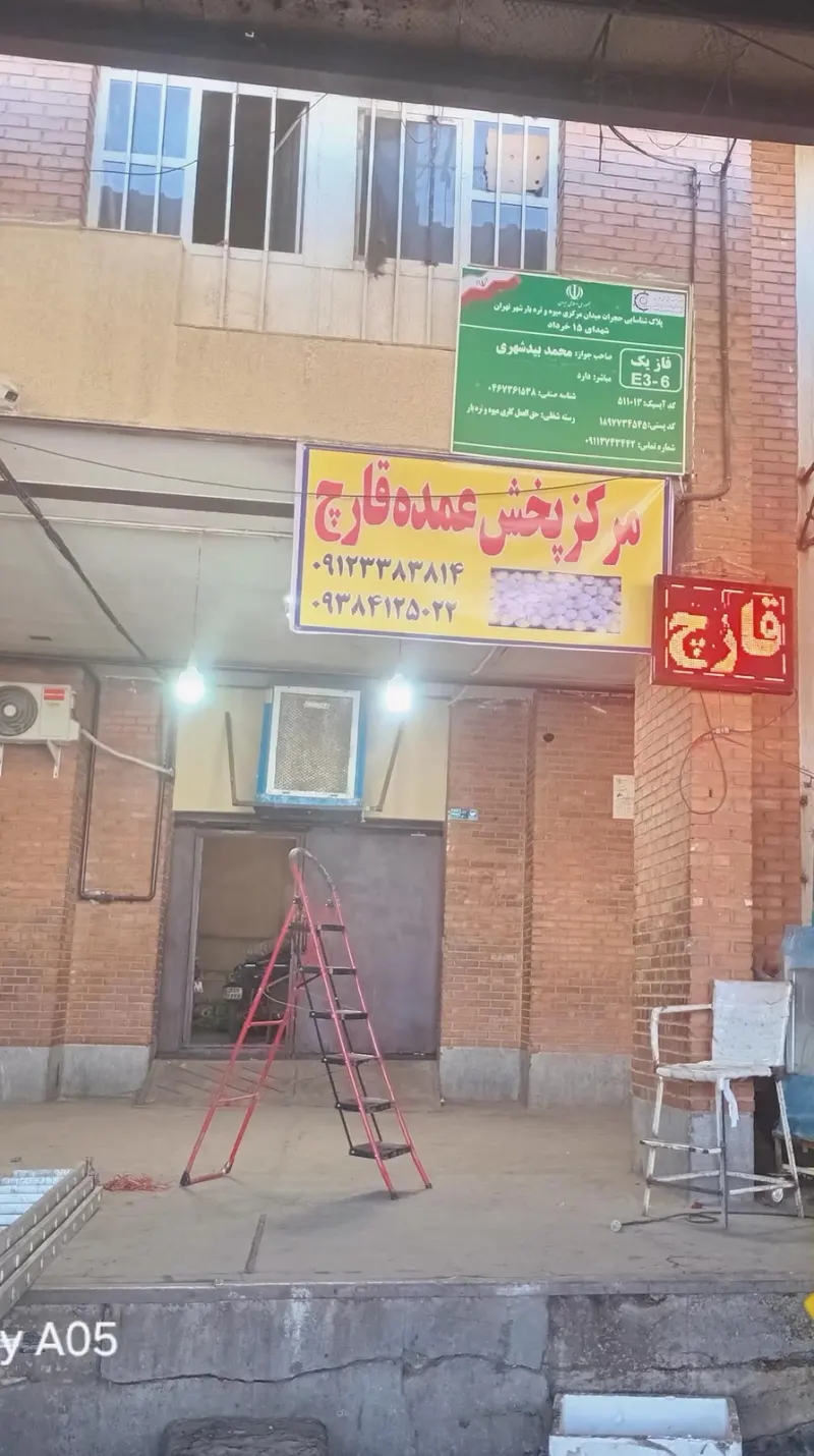 پخش قارچ عمده زیست آرا