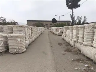 الیاف پنبه بجنورد