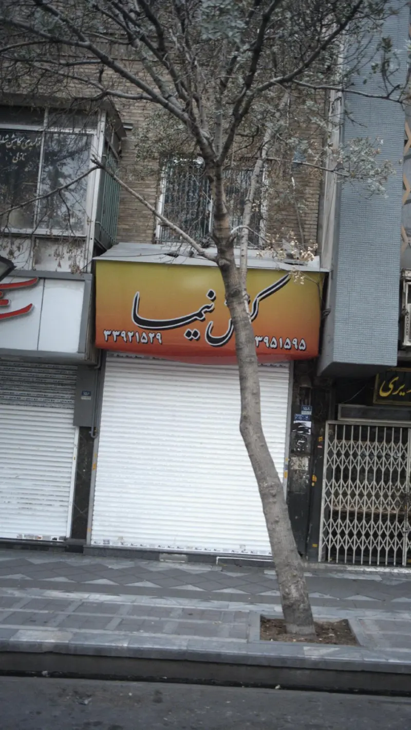 کفش نیما