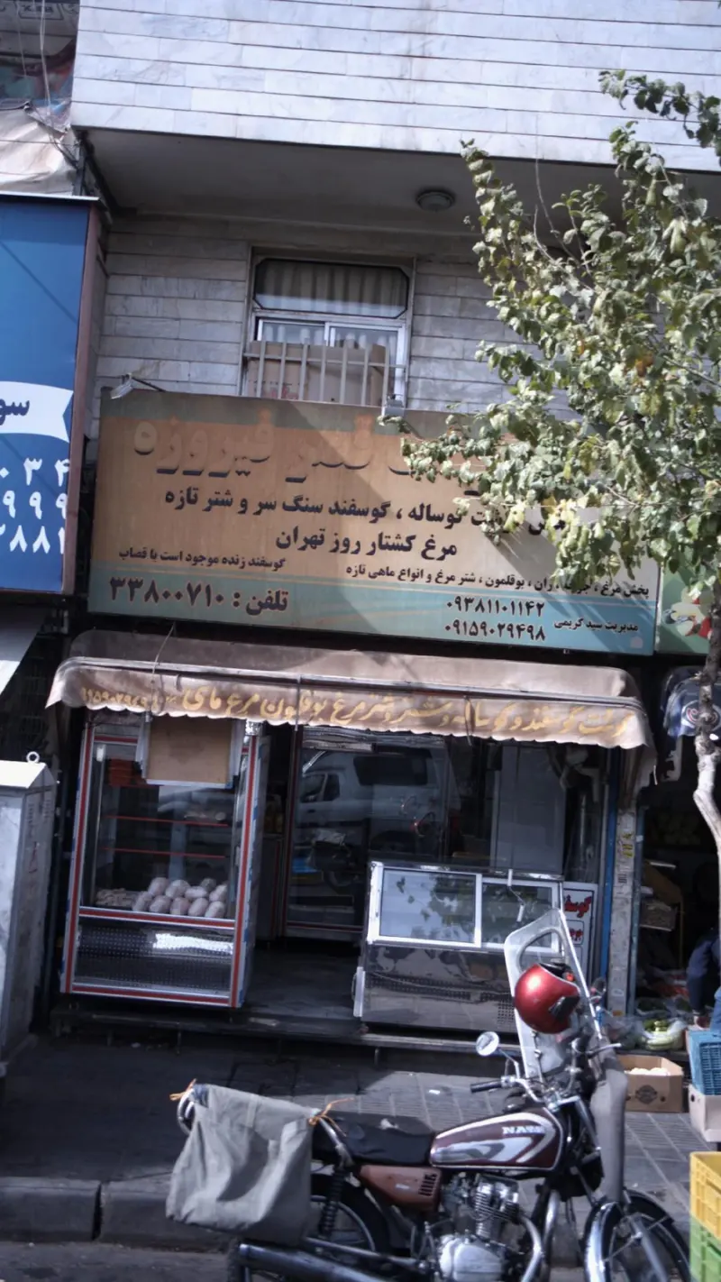 پروتئینی قصر فیروزه