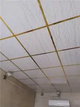 سقف کاذب و کناف پرسپولیس انصاری