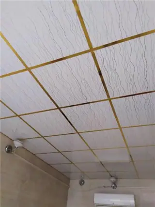 سقف کاذب و کناف پرسپولیس انصاری