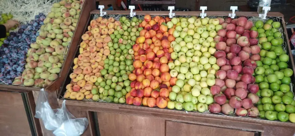 مغازه میوه فروشی فرون آباد