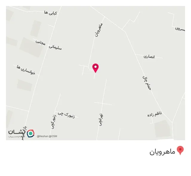فروشگاه گل رو در بازار تهران