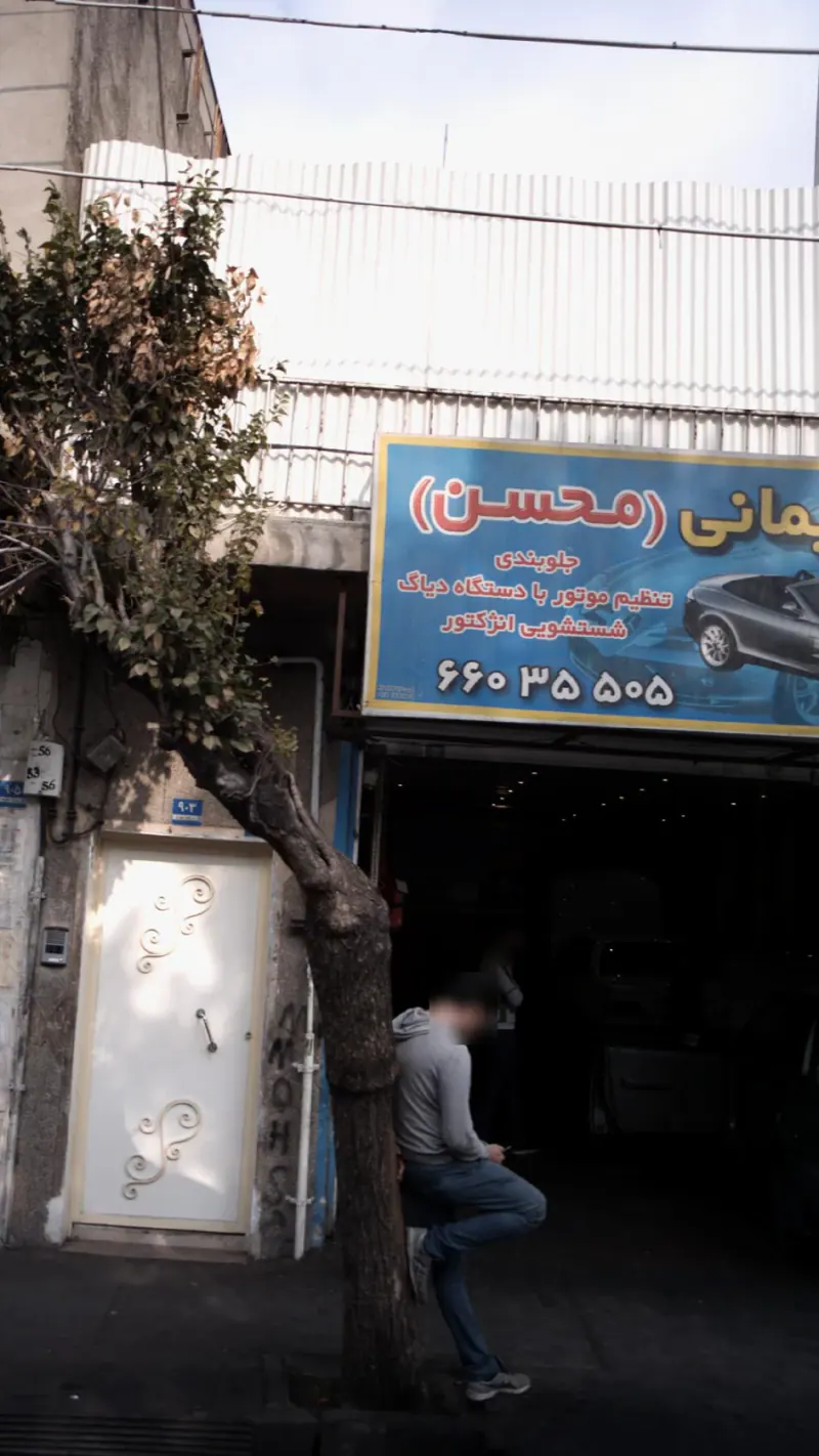 محسن