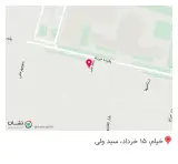 طلا وجواهر فروشی شکاری